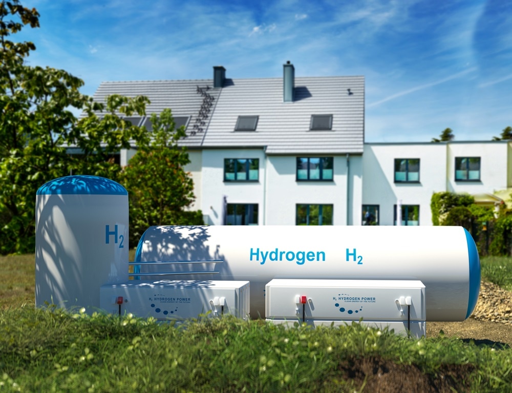 What are the Future Prospects of the Green Hydrogen Market?