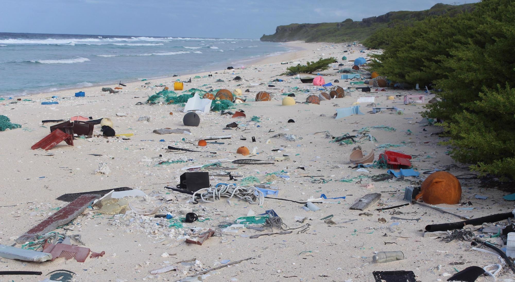 Remote Islands Shed Light on Extent of Worldwide Plastic Pollution