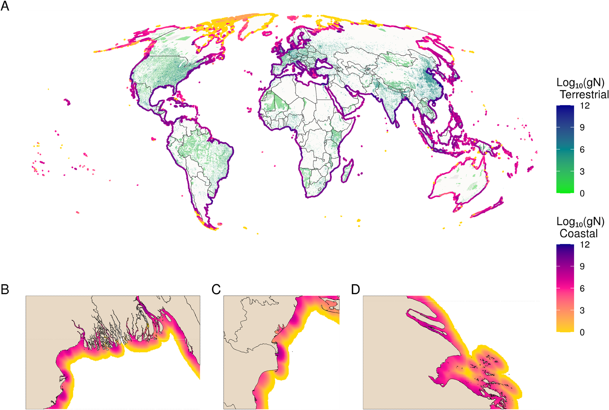 Global distribution of total wastewater N. (A) Global map of the terrestrial sources (green to blue) and coastal diffusion of inputs (yellow to purple) of total wastewater N, measured in log10(gN) in both. Coastal plumes have been buffered to line segments to exaggerate patterns to be visible at the global scale. Insets show zoomed-in views of the (B) Ganges, (C) Danube, and (D) Chang Jiang (Yangtze) Rivers, showing wastewater plumes at high resolution.