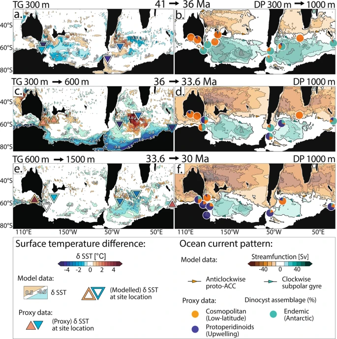 Paleoceanographic evolution of the Southern Ocean. a–f Model-data comparison and proposed paleoceanographic evolution of the surface Southern Ocean from the Late Eocene to Early Oligocene (41–30 million years ago, Ma). The left column presents the comparison of observed and modeled surface temperature differences (d SST, both datasets use the same color scale, see legend). Modeled differences in sea-surface temperatures result from the: (a) Drake Passage (DP) deepening from 300 to 1000 m (Tasmanian Gateway (TG) remaining at 300 m), TG deepening from: (b) 300 to 600 m and (c) 600 to 1500 m (DP at 1000 m). Contours indicate 0.5 °C intervals. The inner part of the triangles shows relative changes of paleo sea-surface temperature proxy records from sediment drill cores within the geological time slices. The outer part of the triangles shows the modeled SST changes at these drill sites. The right column presents the comparison of observed and modeled current pattern. Modeled stream function pattern (bold contours show 10 Sverdrup (Sv) and -10 Sv; fine lines show >10 Sv and <-10 Sv; color scale, see legend, ACC = Antarctic Circumpolar Current) are taken from simulations with: (b) TG at 300 m, (d) TG at 600 m and (f) TG at 1500 m (DP at 1000 m; Figure 2). Pie charts present plankton biogeographic patterns in proportions (colors and affinities, see legend) found in sediment drill cores as proxy for surface current pattern. Details of the sites’ paleolocations, recorded geological time periods, as well as all data used in this study are collated in the SI.