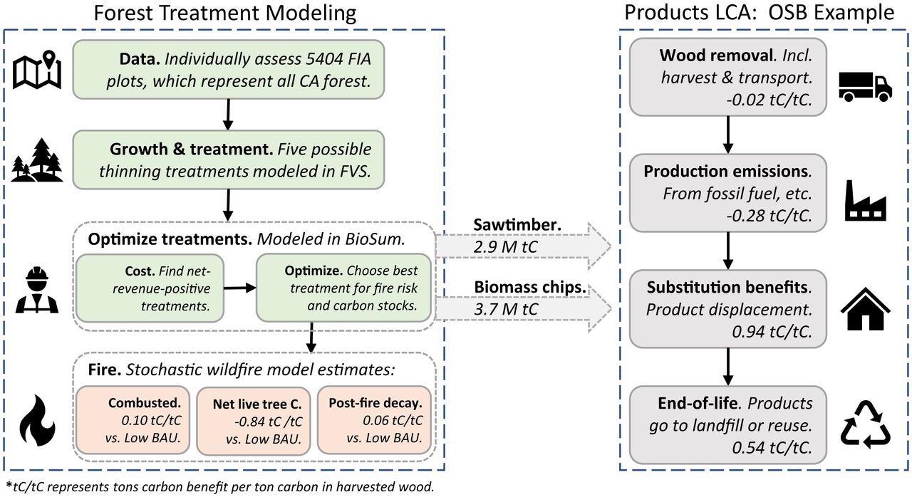 Modeling framework, system boundaries, and example results for one product, oriented strand board (OSB). Product carbon benefits (Right) are specific to OSB, while in-forest carbon fluxes (Left) are common to all products in the IWP scenario. Carbon benefit values presented are cumulative over 40 years.