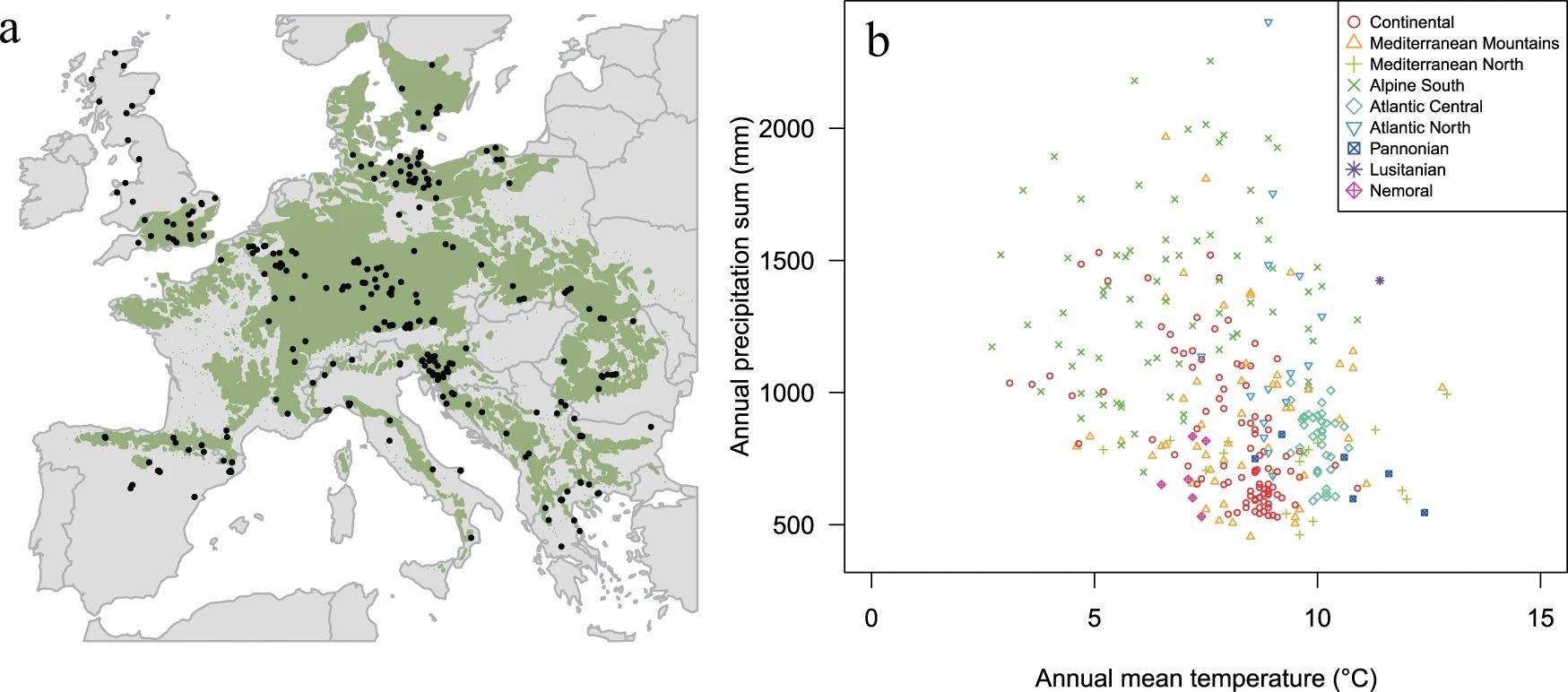 Spatial and climatic range of beech sites. A. Geographical distribution of the 324 study sites (black dots) in the natural distribution range of European beech (green area based on the EUFORGEN map. B. Climatic envelope of European beech sampling sites, considering annual temperature and precipitation. Sites are labeled according to the environmental zones detailed in Metzger et al.
