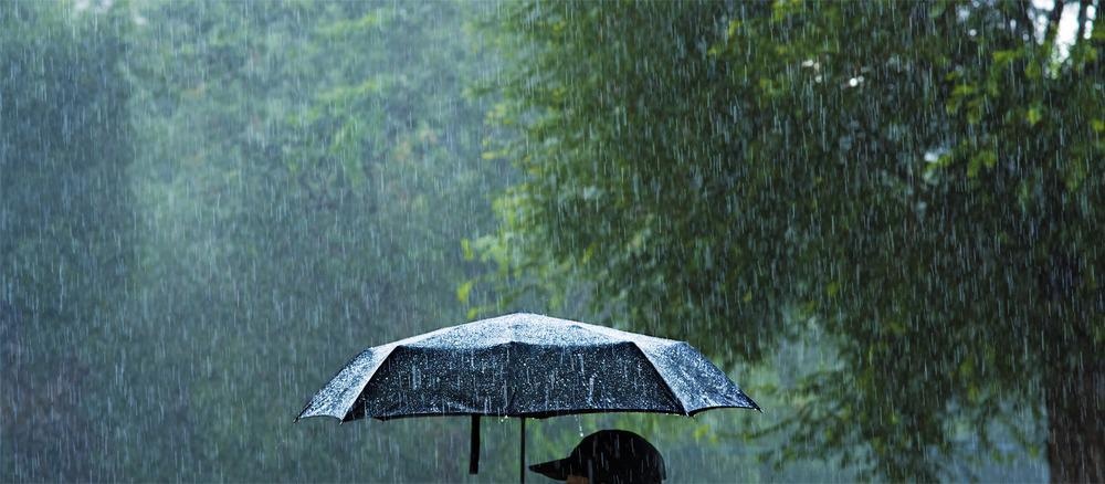 rainfall, citizen science