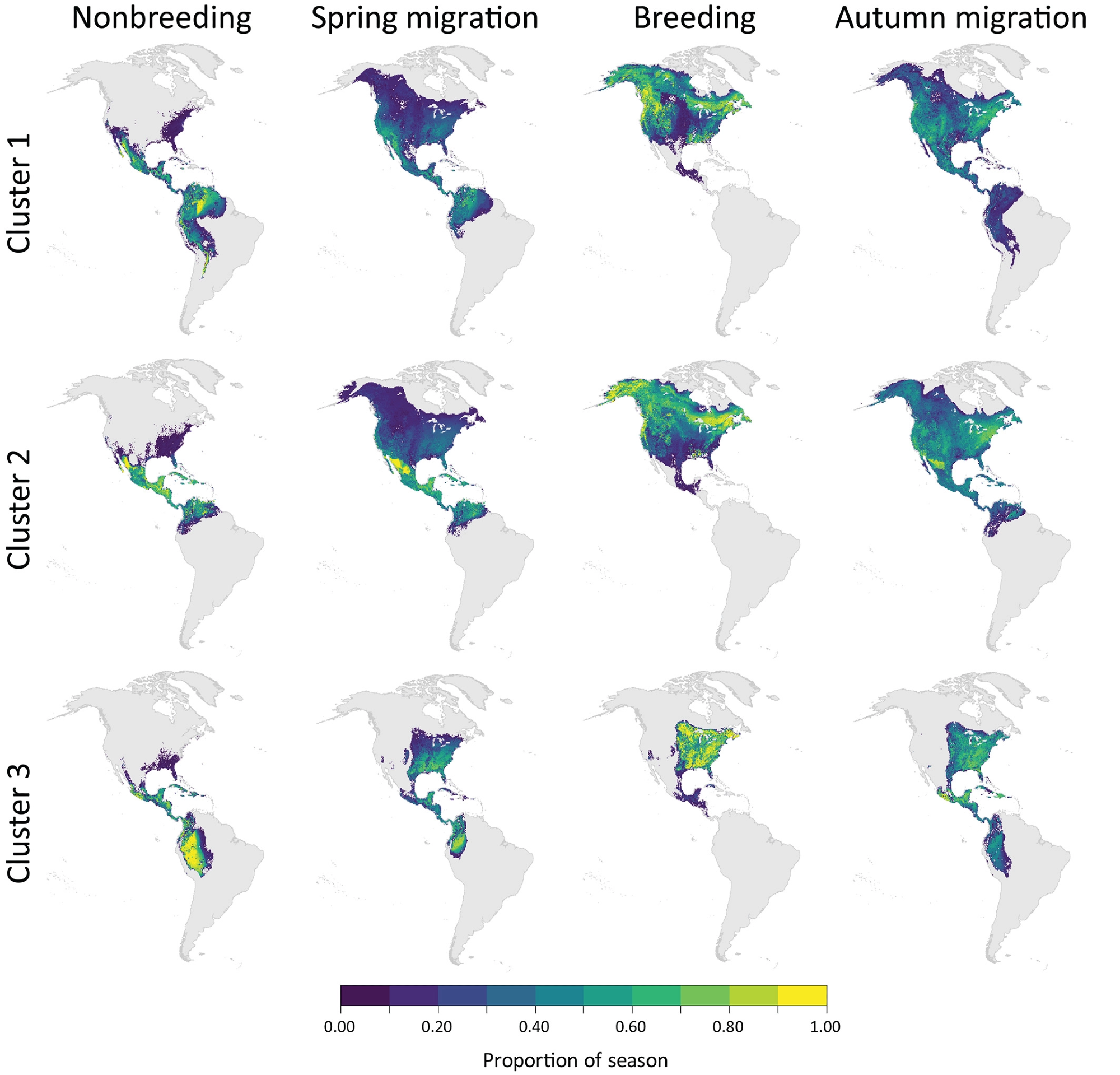 The seasonal distributions within the Western Hemisphere of 42 nocturnally migrating passerine bird species grouped into three clusters (n = 19, 15, and 8, respectively) based on their weekly associations with trends in artificial light at night (see Figure 3). The maps show the proportion of each season species occur in the grid cells averaged across species in each cluster. The data are displayed using a Mollweide equal-area projection.