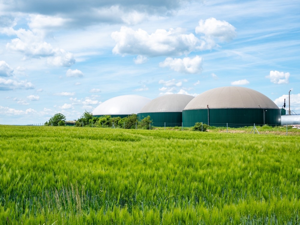biogas, renewable natural gas