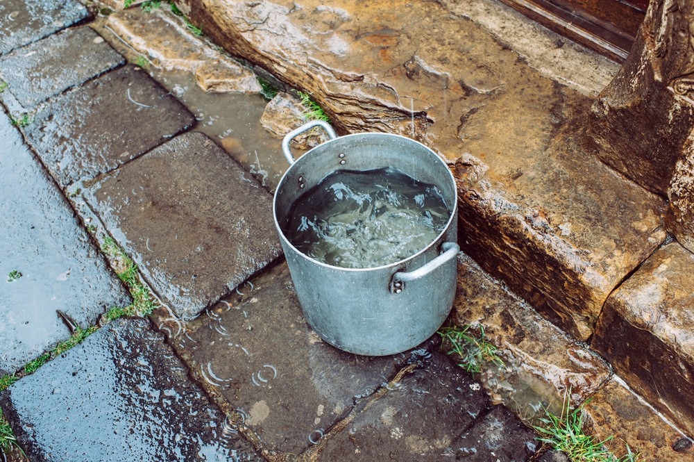 rainwater, safe to drink