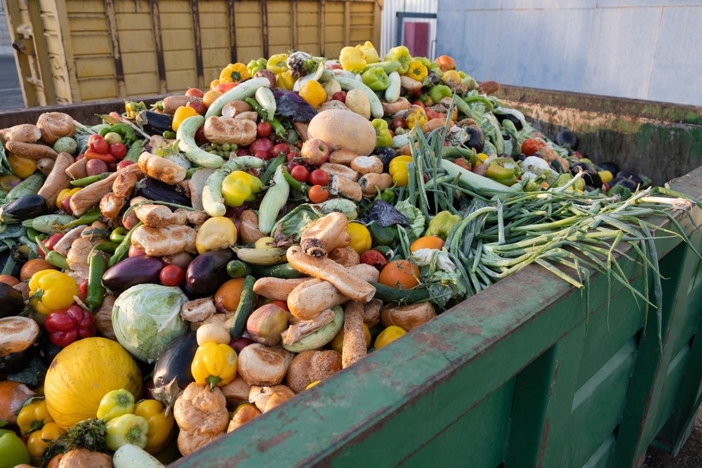 food waste, too good to go