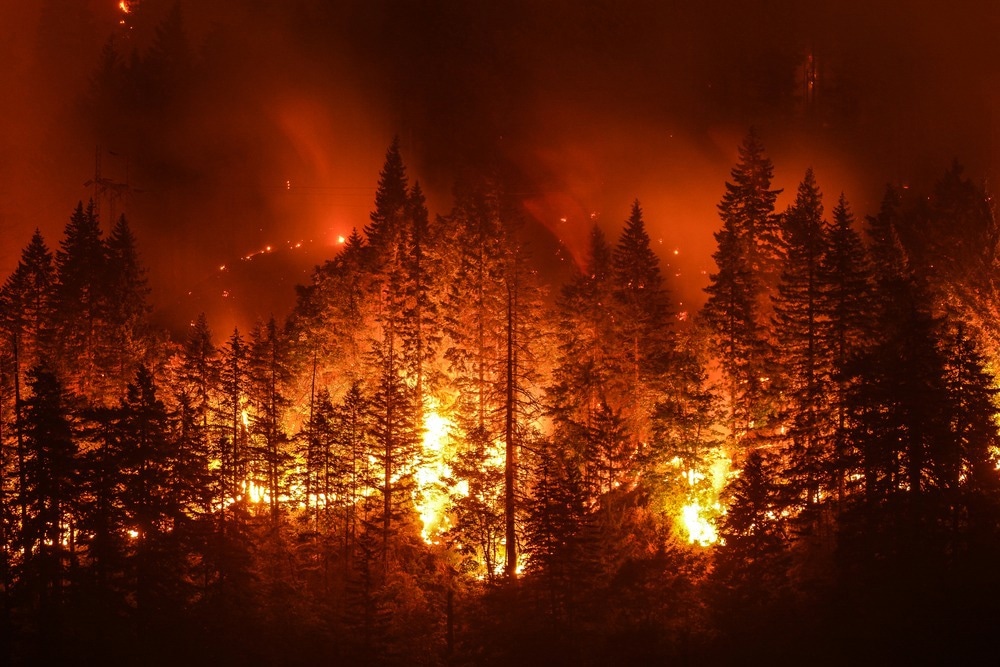 Satellite Technology in Wildfire Monitoring: A Global View on Fire Prevention