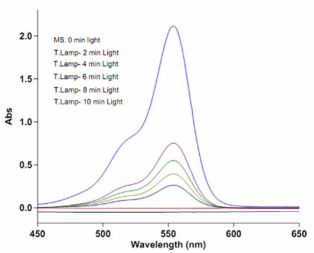 Decomposition of RhB (15 ppm) in aqueous BiOCl-BiOBr with 9W PL table lamp
