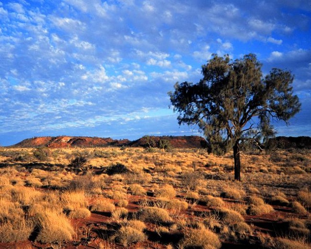 The Australian outback. The country faces a threat to workable land due to increased desertification