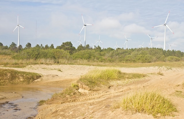 Wind power plant, Tramandai, Rio Grande do Sul, Brazil Image credit: Lisandro Luis Trarbach / Shutterstock.com