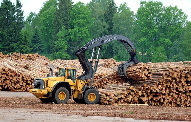 Logging in Finland has contributed to contamination of rivers and groundwater as well as having a big impact on forest biodiversity.
