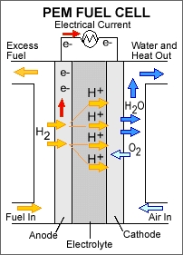 Polymer electrolyte membrane fuel cell.