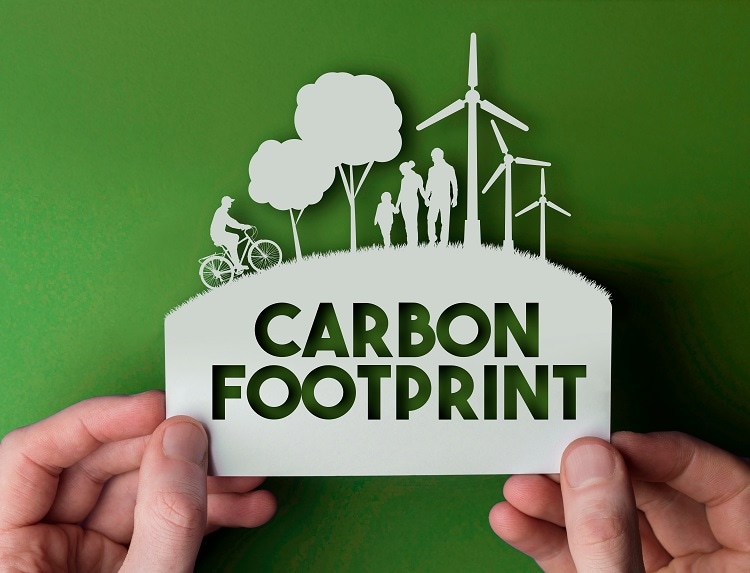 What's the Average Carbon Footprint for Individuals and Businesses?