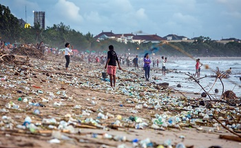 A Summary of the Effects of Plastic on Human Health
