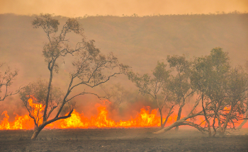 Will Australian Wildfires Affect Climate Change?