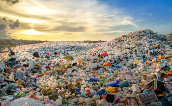 Radical Plastics' Solution to Making Conventional Plastics Biodegradable