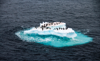 Remote Sensing Technologies and their Role in Monitoring Penguins