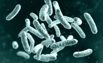 Recent Developments in Microbial Fuel Cells (MFCs)