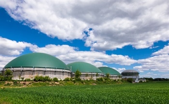 The Future of Biogas as a Renewable Energy Source