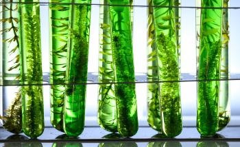 I-Phyc's Sustainable Water Recycling Process using Algae