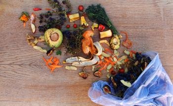 Zero Food Waste to Landfill by 2030: The Technology Making this Possible