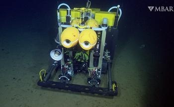 Robotic Monitoring of the Deep-Sea Carbon Cycle and Climate Change