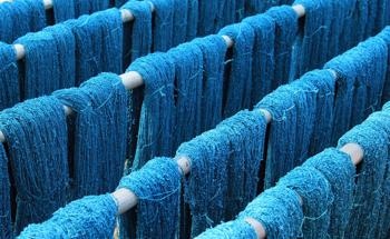 PILI: Reducing Pollution in the Dyeing Industry Using Microorganisms