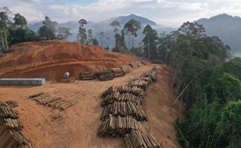 亚马逊森林砍伐如何影响地球