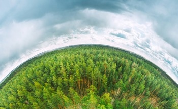 Weighing Earth's Forests Using a Space Umbrella
