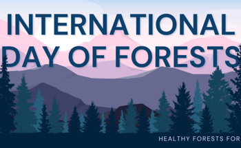 国际森林日:有助于保护森林的重要事态发展