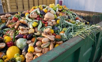 Reducing Food Waste and Building a Circular Food System: Insights from the Founder of Too Good To Go