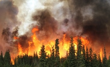 Beyond the Flames: Exploring the Impact of Wildfires on Watershed Health and Air Purity