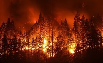 Satellite Technology in Wildfire Monitoring: A Global View on Fire Prevention