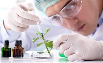 Sustainability of Industrial Biotechnology
