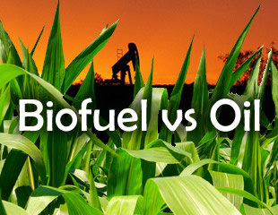 Biofuel vs Oil
