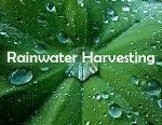 Renewable Technology: Rainwater Harvesting