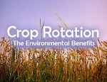 What are the Environmental Benefits of Crop Rotation?