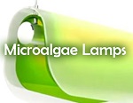 Clean Technology: Microalgae Lamps