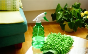 What are Green Cleaning Products?