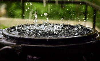 What is Rainwater Harvesting and the Importance of Harvesting Rainwater