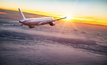 Mustard Seeds as Bio Fuel for Planes