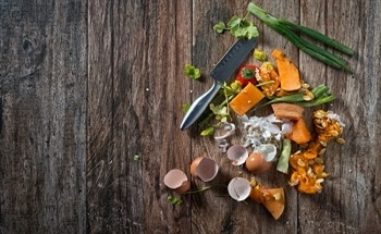Food Waste as a Renewable Energy