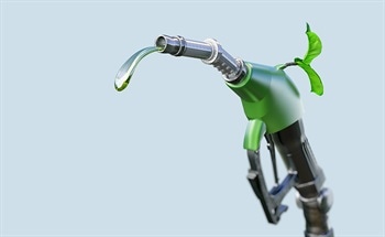 Are Biofuels Renewable Energy?
