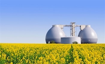 Powering Your Home with Biogas