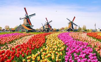 The Netherlands: Environmental Issues, Policies & Clean Technology