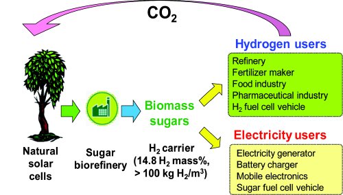Scheme of the hydrogen economy based on a renewable high-density hydrogen carrier - carbohydrate.