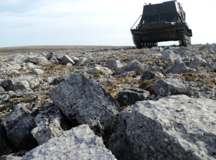 Limestone outcrop on the Taymyr Peninsula in North Siberia