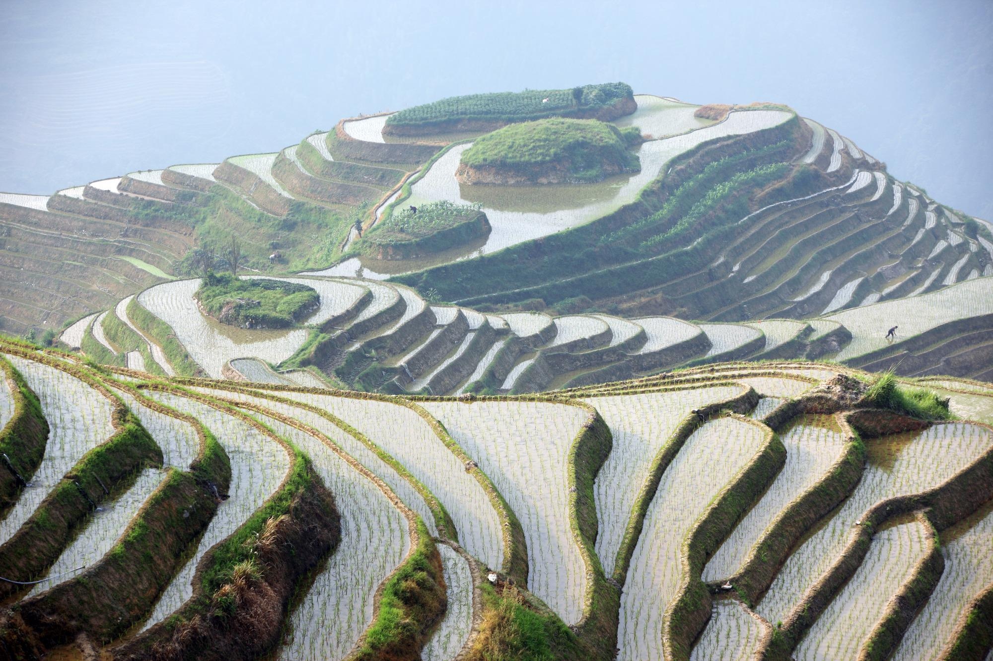 Future Food Security of China will have Huge Environmental Impacts, Finds Study.