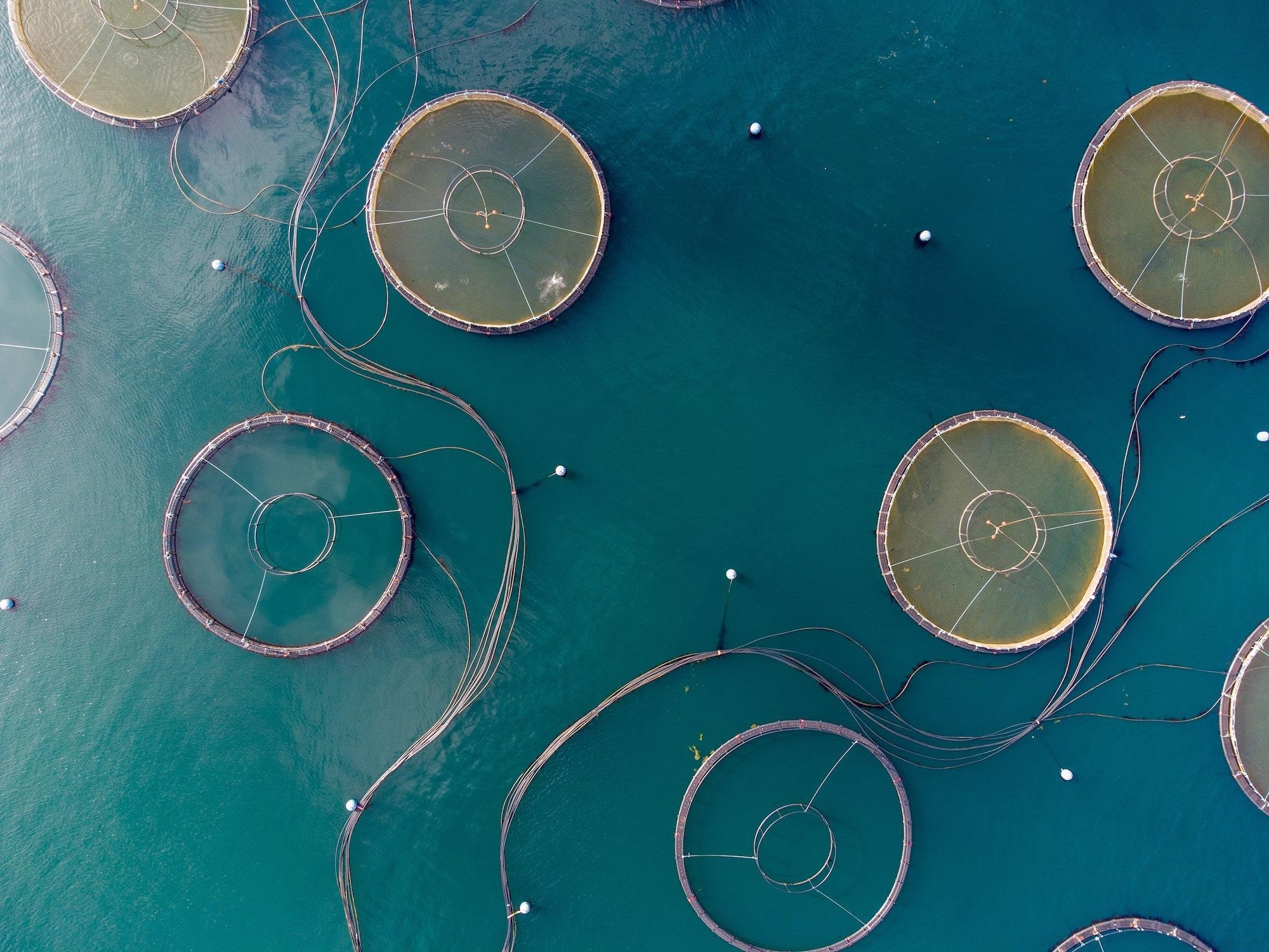 Will Climate Change Impact Future Global Farmed Seafood Supply?